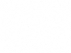 A1